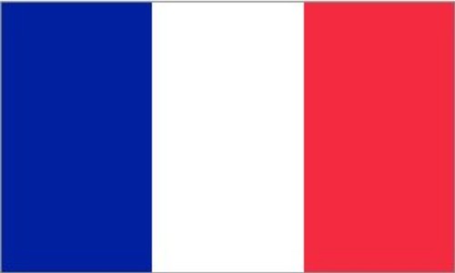 Frankreich flagge fan - flagge,